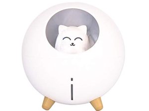 Gbziyjk Night Light Mini Humidifier